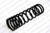 ROC CS0228 Coil Spring